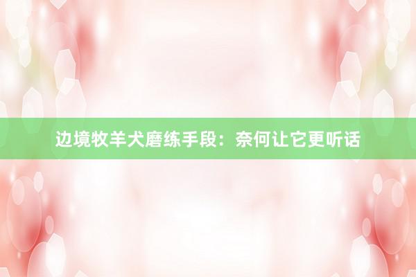 边境牧羊犬磨练手段：奈何让它更听话