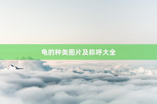 龟的种类图片及称呼大全